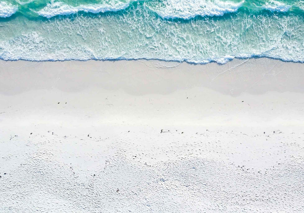Reduce, reuse, recycle: what do they really mean and how can you adopt them?